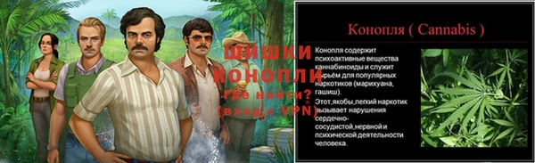 ALPHA PVP Коряжма
