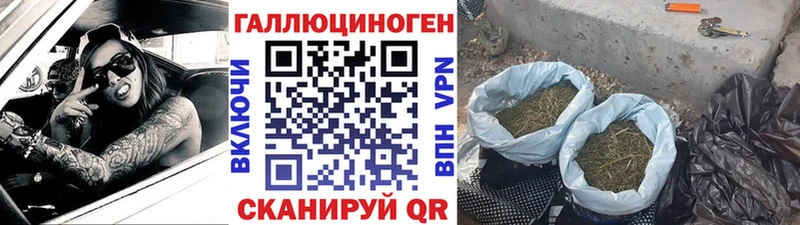 Купить где Топки Псилоцибиновые грибы ЛСД
